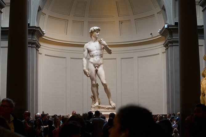Florence Accademia Guided Tour – Shared, Private & Combo Options - Key highlights worth knowing before you go