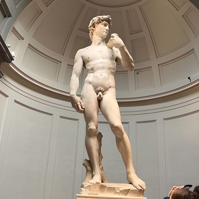 Florence: Accademia Reserved Ticket & Michelangelo's David - Reserved Accademia entry: why timing changes the whole trip