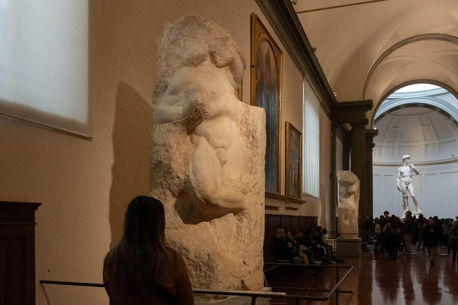 Florence: Accademia Ticket & Audio Guided Tour with Host - Live guide Q and A: where the tour earns its keep