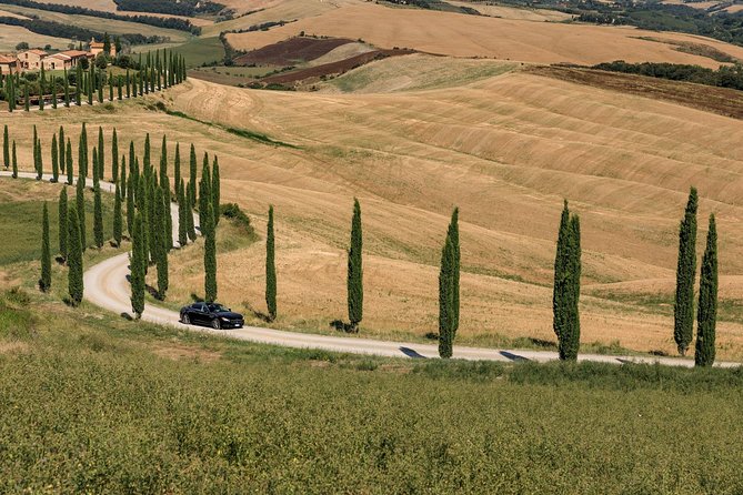 Florence Airport Private Departure Transfer - Meet and assist at your hotel, not at a random curb