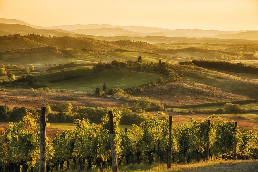 Florence/Badesse: Tuscany Group Vespa Tour with Wine Tasting - Stop 2, Chianti Hills Guided Views and Scenic Drive