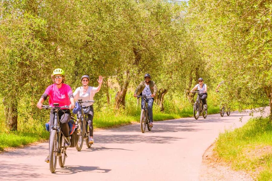 Florence: Chianti E-Bike Tour with Lunch & Two Wine Tastings - Who This Tour Fits Best (and Who Should Skip It)