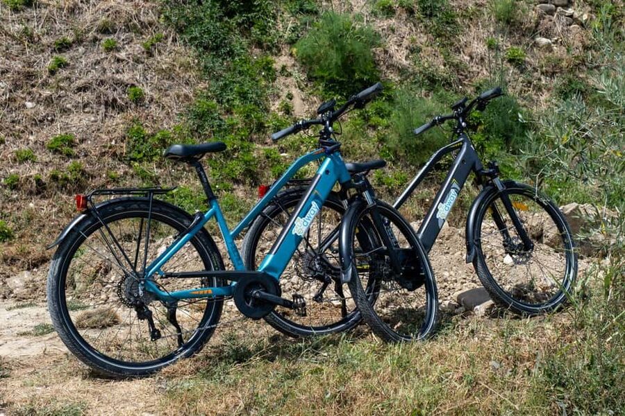 Florence: Chianti E-Bike Tour with Wine Tasting and Lunch - Key highlights you’ll care about
