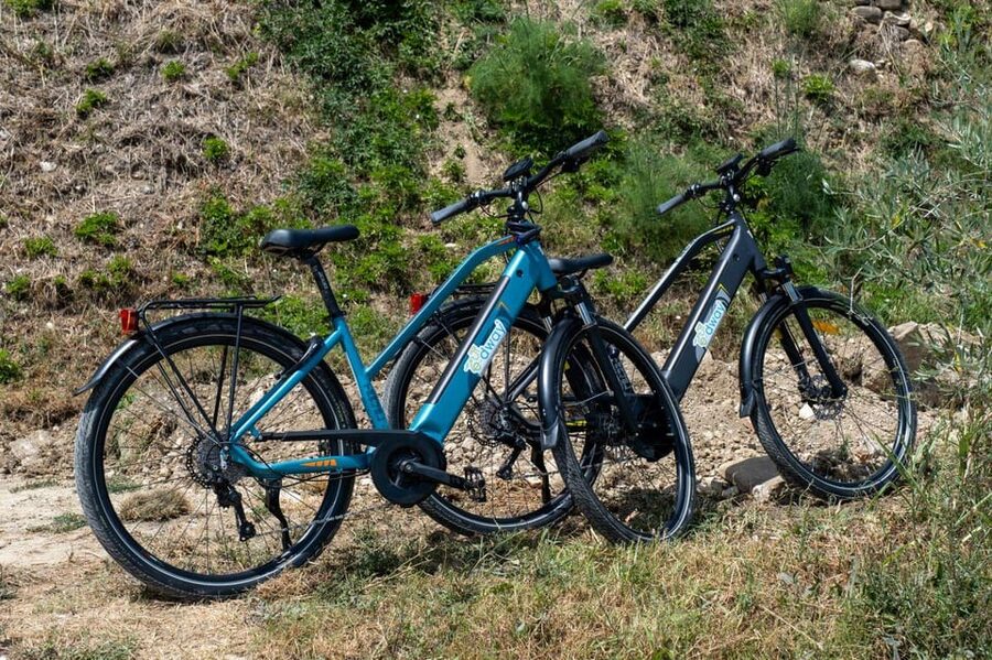 Florence: Chianti E-Bike Tour with Wine Tasting and Lunch - Impruneta lunch break: a traditional farm meal and biological wine tasting