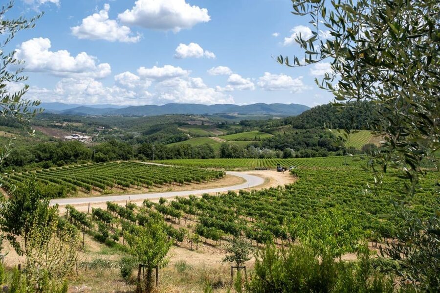 Florence: Chianti E-Bike Tour with Wine Tasting and Lunch - Price and value: what $117 for 5.5 hours actually buys