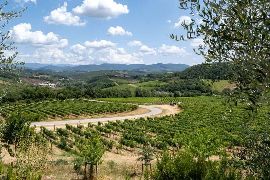 Florence: Chianti E-Bike Tour with Wine Tasting and Lunch - Who should book this, and who should skip it