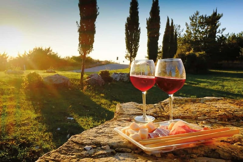 Florence: Chianti Vineyards Tour with Wine Tasting & Dinner - Key things that make this tour special