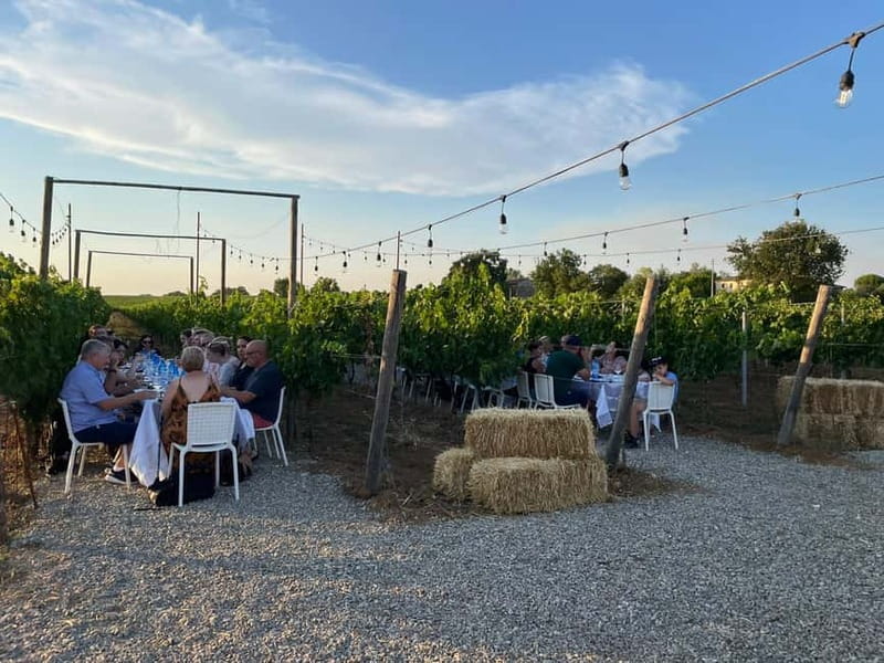 Florence: Chianti Vineyards Tour with Wine Tasting & Dinner - Value check: is $123.48 per person worth it?