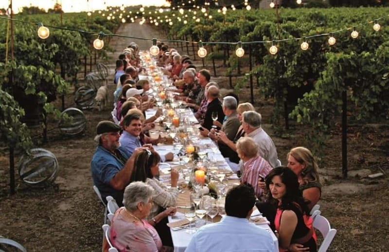 Florence: Chianti Vineyards Tour with Wine Tasting & Dinner - Chianti after sunset, starting with tastings (not just a meal)
