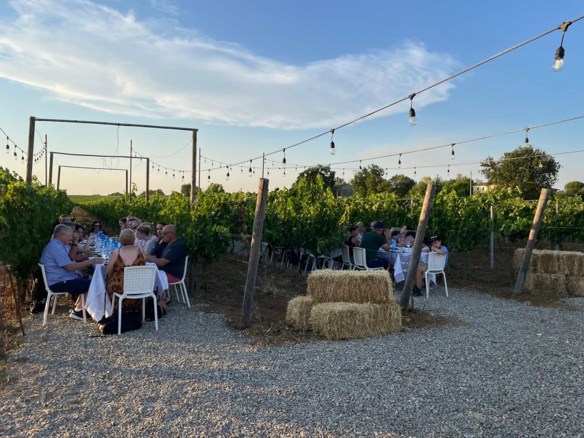Florence: Chianti Vineyards Tour with Wine Tasting & Dinner - The vineyard dinner: expect a feast, served with a setting