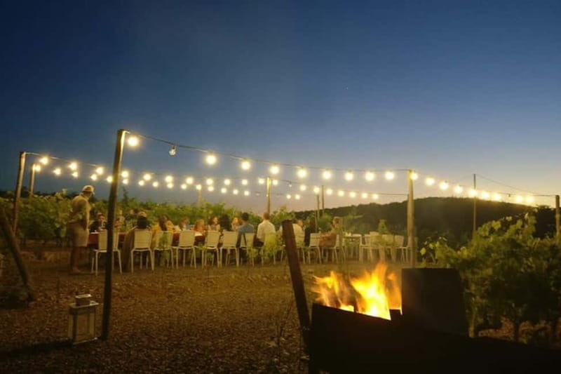 Florence: Chianti Vineyards Tour with Wine Tasting & Dinner - Wine and pacing: how to enjoy generous tastings without getting wrecked