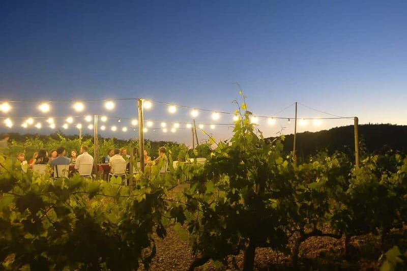 Florence: Chianti Vineyards Tour with Wine Tasting & Dinner - Group size and languages: you will talk, but you may hear multiple tongues