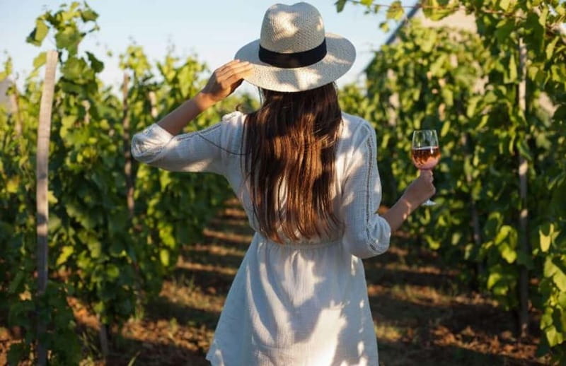 Florence: Chianti Vineyards Tour with Wine Tasting & Dinner - The drive from Florence: comfortable, scenic, and timed for sunset