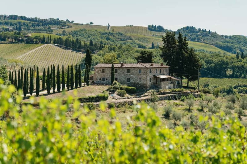 Florence: Chianti Wineries Tour with Wine Tasting - The Wine Tastings: What You’ll Actually Taste