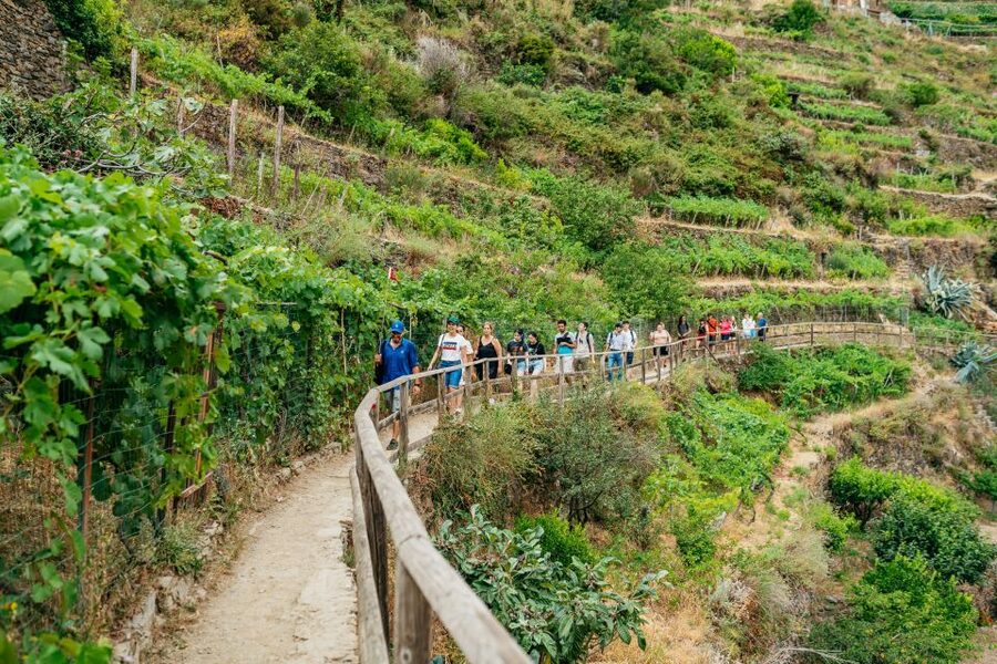 Florence: Cinque Terre Day Trip with Optional Hike - 5 Key Things That Make This Cinque Terre Day Trip Worth It