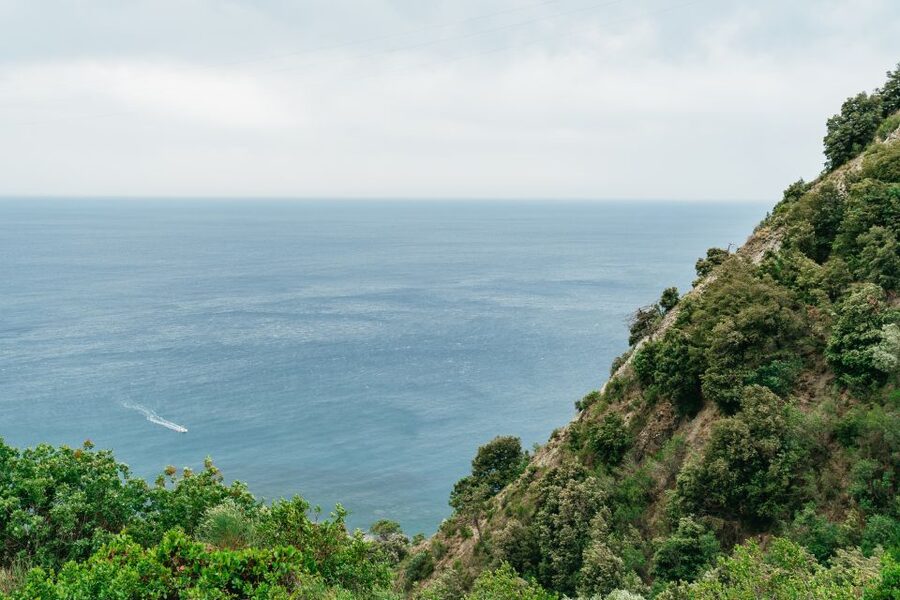 Florence: Cinque Terre Day Trip with Optional Hike - The Optional Hike Corniglia to Vernazza: When Effort Becomes the View