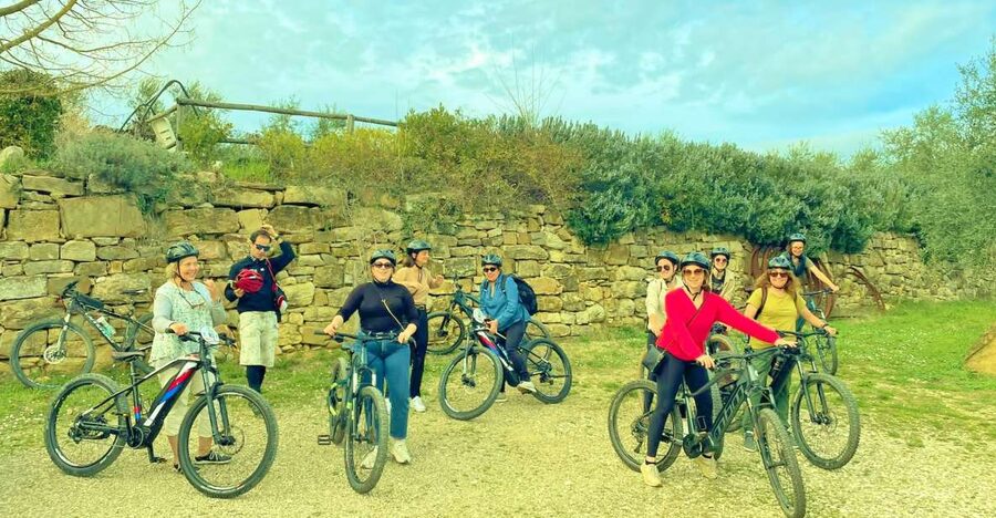 Florence: Country Ebike tour + Wine tasting in organic farm - Key Things You’ll Notice