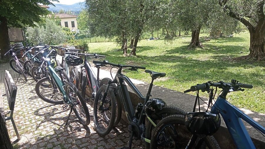 Florence: Country Ebike tour + Wine tasting in organic farm - Enrico’s Local Perspective Makes It Feel Like More Than a Ride