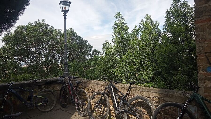 Florence: Country Ebike tour + Wine tasting in organic farm - Value and Price: What $168.79 Per Person Covers