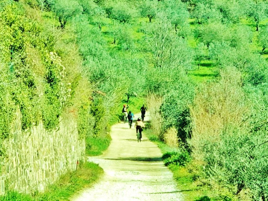 Florence: Country Ebike tour + Wine tasting in organic farm - FAQ