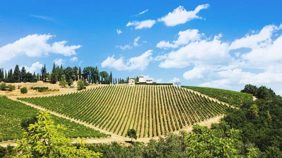 Florence Countryside 2.5h Premium E-Bike Tour + Photo Shoot - Key moments that make this tour feel premium