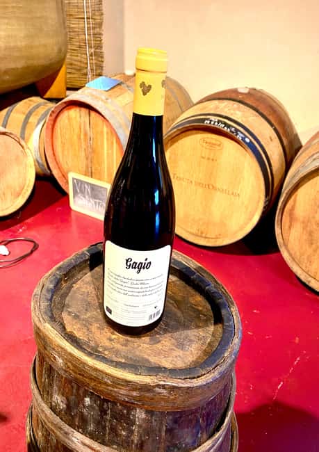 Florence: Countryside Tour with Wine Tasting & Pasta Class - Practical tips I’d follow before you go
