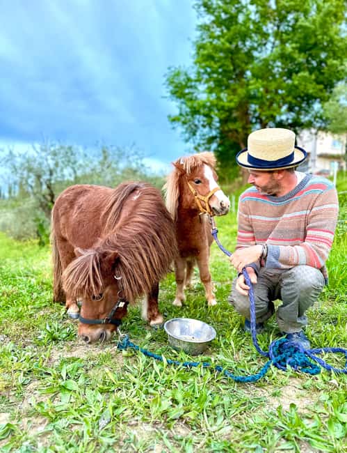 Florence: Countryside Tour with Wine Tasting & Pasta Class - Countryside walk at the farm, vineyard views, and botanical garden stops