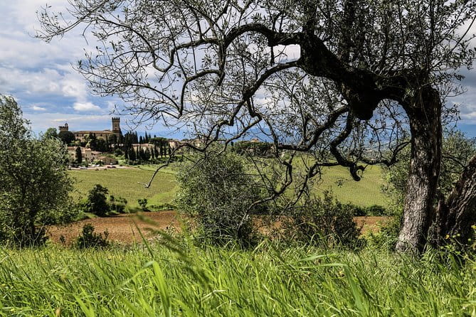 Florence Day Trip: Chianti Wine Tasting, Siena, San Gimignano - Walking and pacing: how to enjoy both towns without rushing yourself