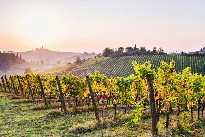 Florence Day Trip to Siena & San Gimignano with Scenic Views - San Gimignano Towers and the Free-Time Sweet Spot