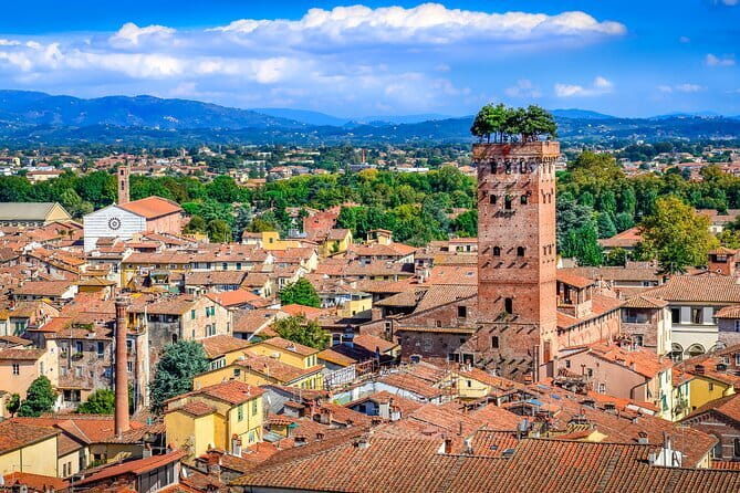 Florence Dome Climb & Private Guided Sightseeing Walking Tour with Hotel Pickup - A private art historian guide who adapts to you