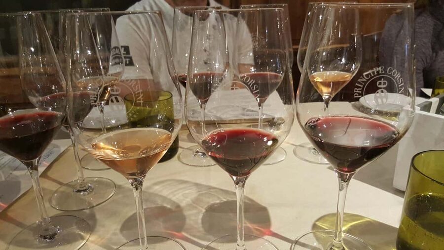 Florence: Exclusive Chianti Wine Tour at 3 Wineries & Lunch - Olive oil tasting: why it’s worth caring about here
