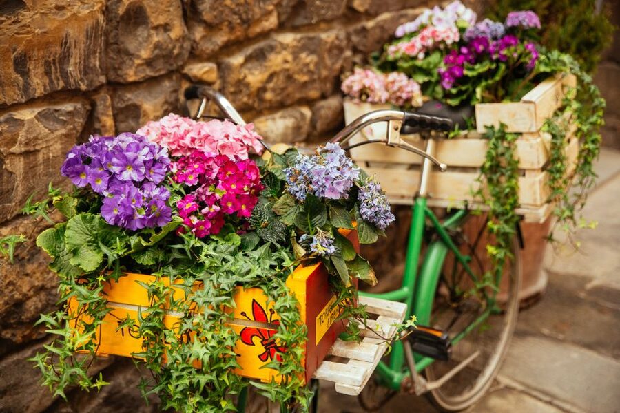Florence: Family-Friendly Private Tour - Gelato Stop: The Best Kind of Break on a City Walk