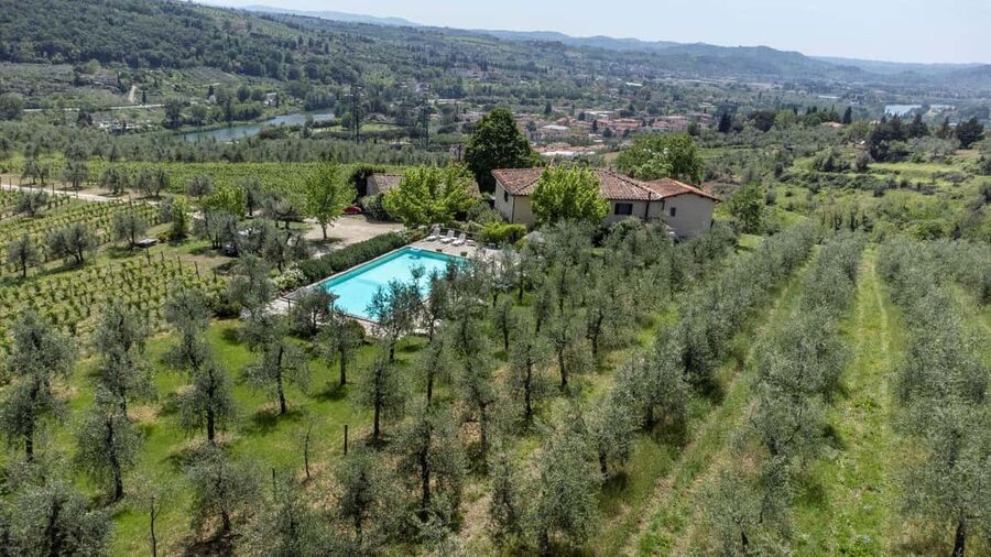 Florence: Fiesole E-Bike Tour with Olive Oil Tasting - The olive mill stop: how Tuscan extra virgin olive oil gets made