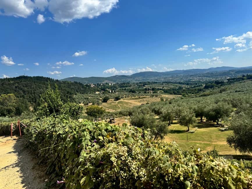 Florence: Fiesole E-Bike Tour with Olive Oil Tasting - What you get for the price, and what to plan around