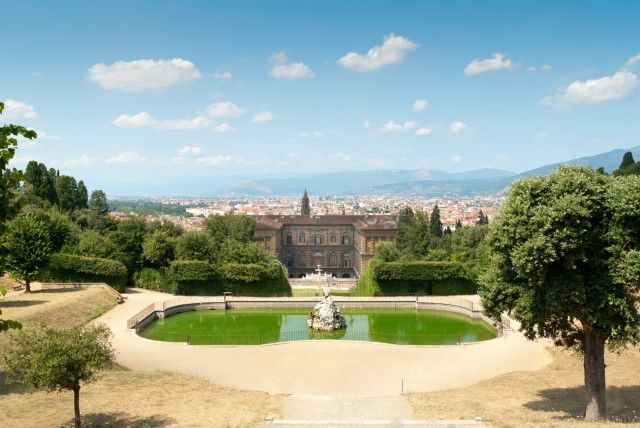 Florence: Firenze Card Official Museum City Pass - Uffizi Gallery and Accademia: what to expect and how to organize your day