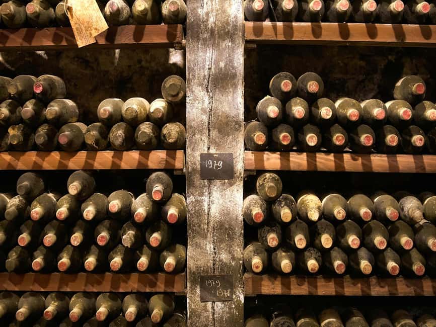 Florence: Great Chianti Wine and Olive Oil Trail with Lunch - Key things you will enjoy