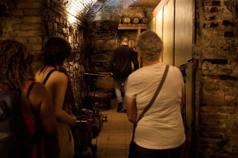 Florence: Great Chianti Wine and Olive Oil Trail with Lunch - Who this day trip suits best
