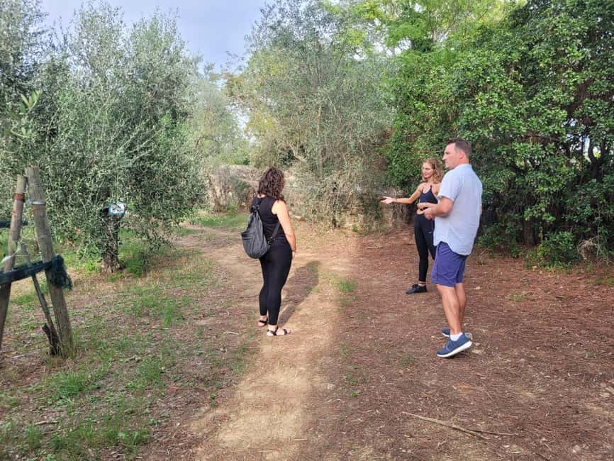 Florence: Half-Day Tuscan Countryside E-bike Tour with Wine - Small group energy, English guide, and guide Jack’s pacing