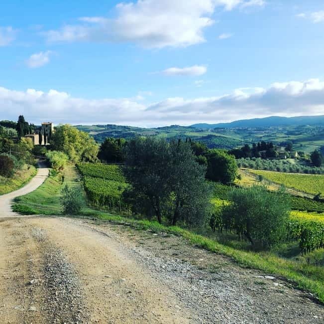 Florence: Hiking Tuscany & Chianti wine 3 wineries and lunch - Key highlights worth planning for