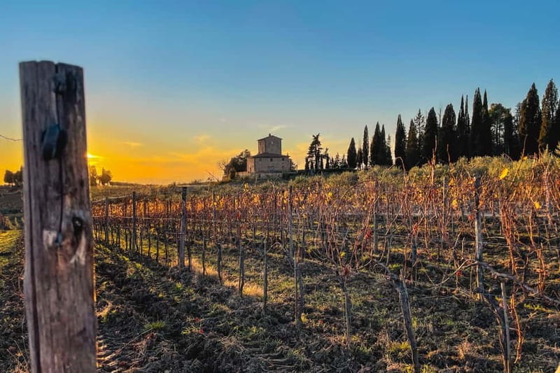 Florence: Hiking Tuscany & Chianti wine 3 wineries and lunch - Why hiking Chianti works better than a tasting-only day