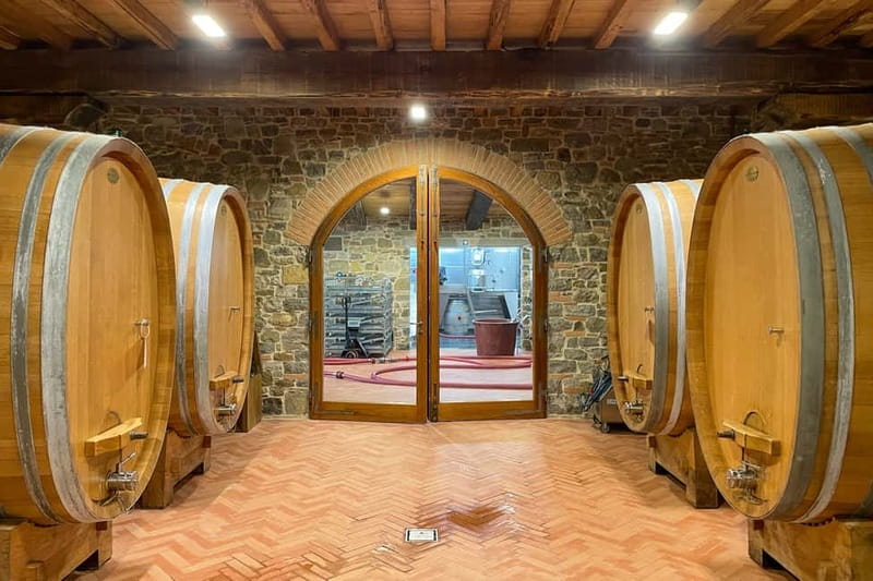 Florence: Hiking Tuscany & Chianti wine 3 wineries and lunch - The first walk in the Conca d’Oro: vineyards, amphitheater views, fresh air
