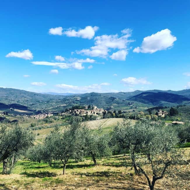 Florence: Hiking Tuscany & Chianti wine 3 wineries and lunch - Winery stop 1: a 12th-century family cellar and a medieval posting history
