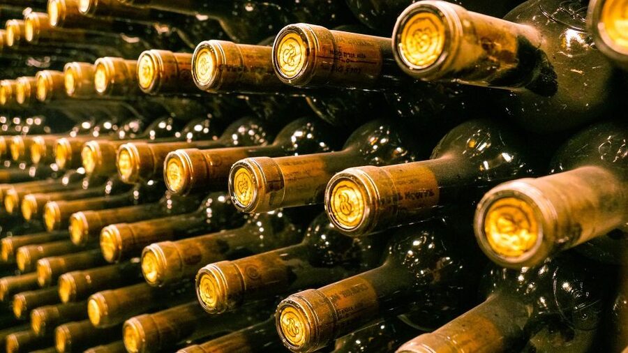 Florence: History Walking Tour with Wine Tasting - A short Florence walk that connects Renaissance power and a wine cellar