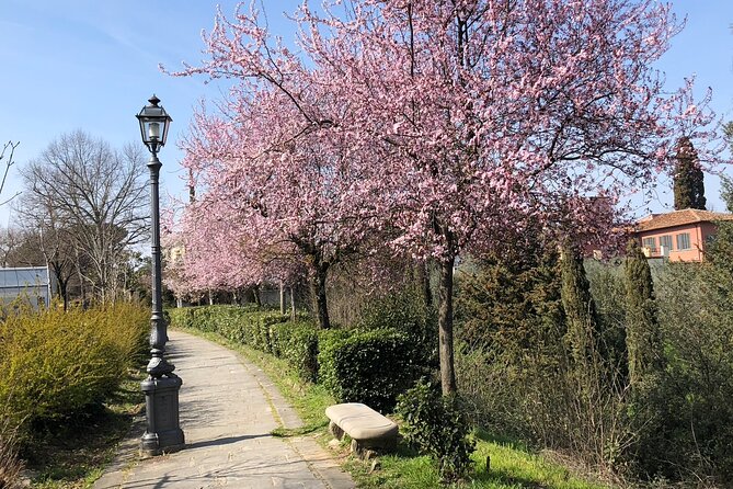 Florence Photo Safari Walking Tours - Via di San Leonardo and the Belvedere fortress ending