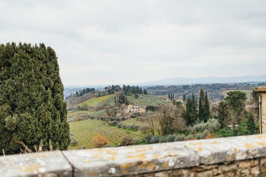 Florence: Pisa, Siena, San Gimignano, and Chianti Experience - Who This Tour Fits Best, and Who Should Think Twice