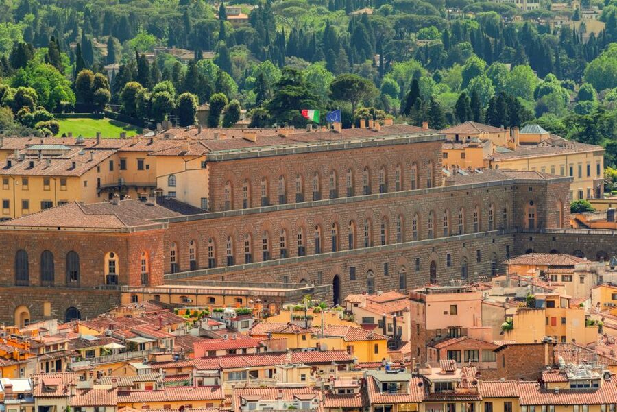 Florence: Pitti Palace Small Group Tour - The Royal Apartments: luxury as a political statement