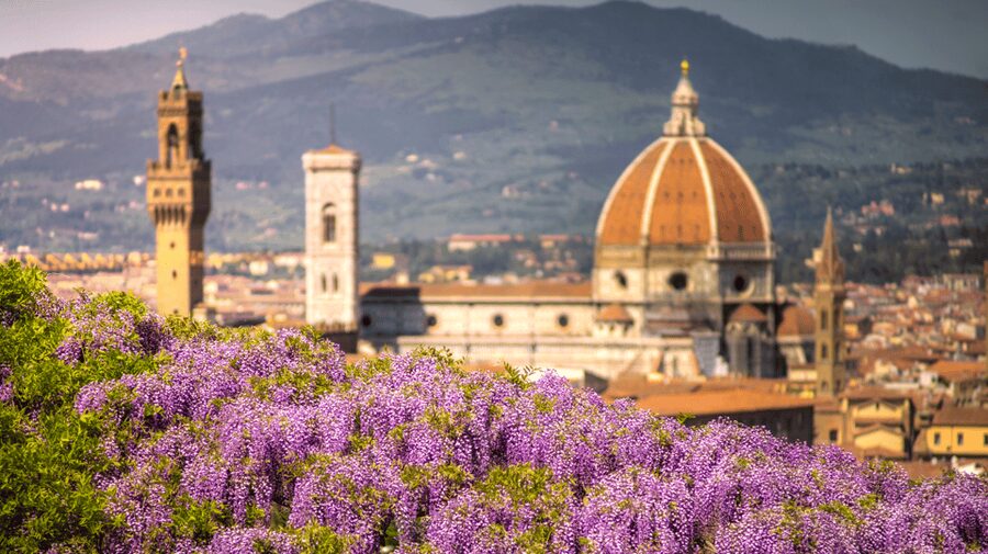 Florence Premium E-Bike Tour + Photo Shoot and Tastings - The e-bike experience: easy power, real streets, and a route built for momentum