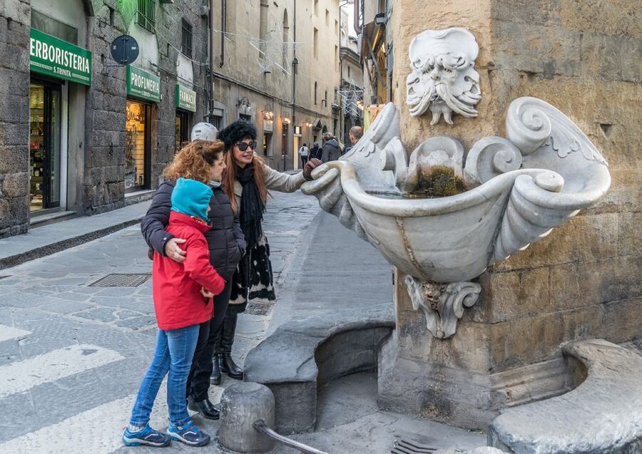 Florence: Private City Walking Tour - Piazza della Signoria to La Loggia dei Lanzi: political power in stone