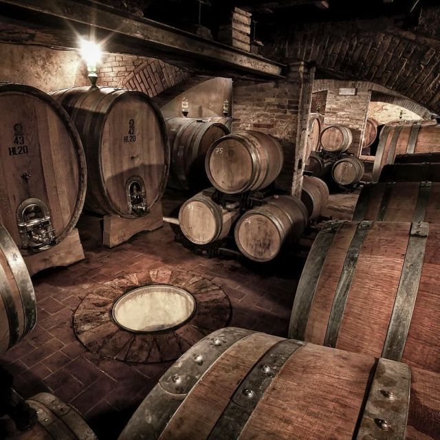 Florence: Private Full-Day Brunello Wine Tour to Montalcino - Azienda Agricola Solaria: Microclimate, an All-Female Team, and Extra Virgin Olive Oil