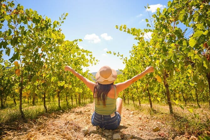 Florence: Private Half-Day Chianti Tour and Wine Tasting Optional - Optional Winery Wine Tasting: How to Make It Worth the Extra Spend